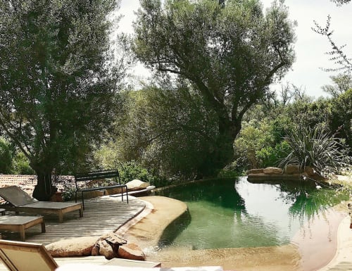 Serene natural pool with wooden deck, lounge chairs, and olive trees at Sweet Holiday in Porto-Vecchio