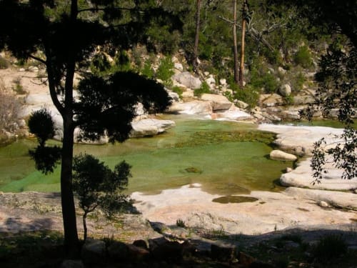 Natural pool with emerald water surrounded by granite rocks and pine trees at Sweet Holiday in Porto-Vecchio