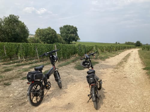 Location de vélos électriques au Clos Ceres - Bourgogne du sud