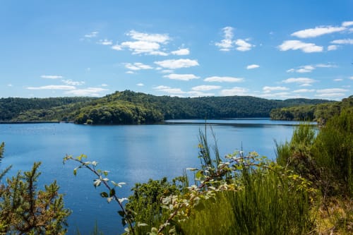 Vue paisible du lac avec rivages boisés et plantes fleuries du Manoir de Fornebello, Châtelaudren-Plouagat, France