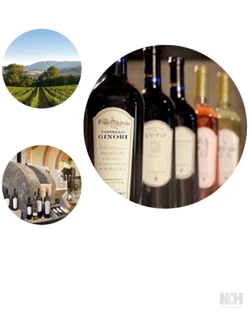 La selezione di vini Castagnini a Montecatini Val di Cecina: patrimonio di vigneto e cantina