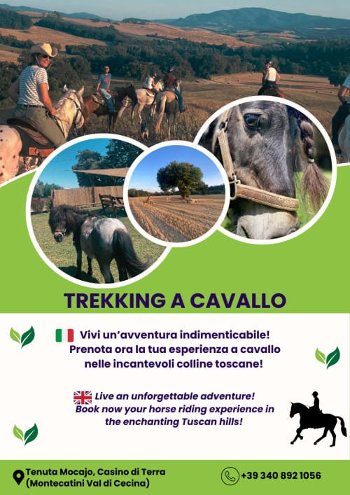 Escursione a cavallo nelle colline toscane vicino a Montecatini Val di Cecina con cavalieri su sentieri di campagna