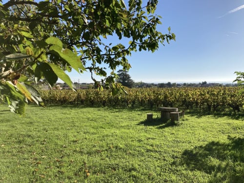 Verger de la maison d'hôtes Clos Ceres aux abords des vignes