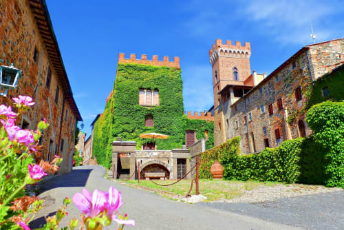 Medieval tower covered in ivy at I Castagnini B&B in Montecatini Val di Cecina, Tuscany with pink flowers