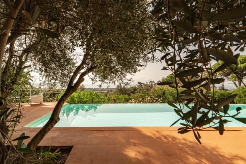 Turquoise pool framed by olive trees at Case Zucco, a Sicilian bed and breakfast in Terrasini, Italy