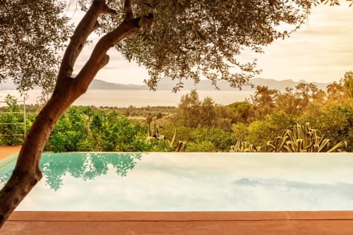 Infinity pool overlooking Mediterranean landscape at Case Zucco B&B in Terrasini, Sicily, with olive tree and mountain views