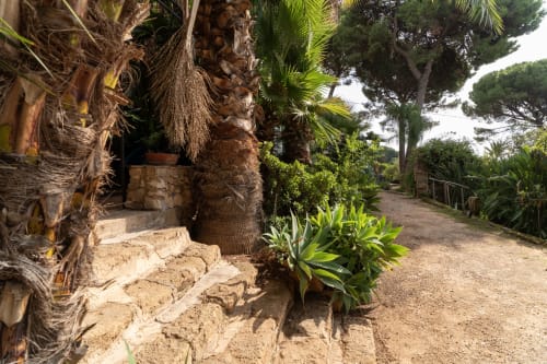 Palm-lined pathway at Case Zucco B&B in Terrasini, Italy, with stone steps and Mediterranean garden