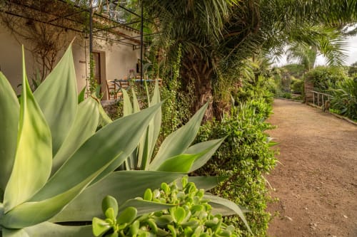 Lush garden pathway at Case Zucco B&B in Terrasini, Italy, lined with agave plants and tropical vegetation