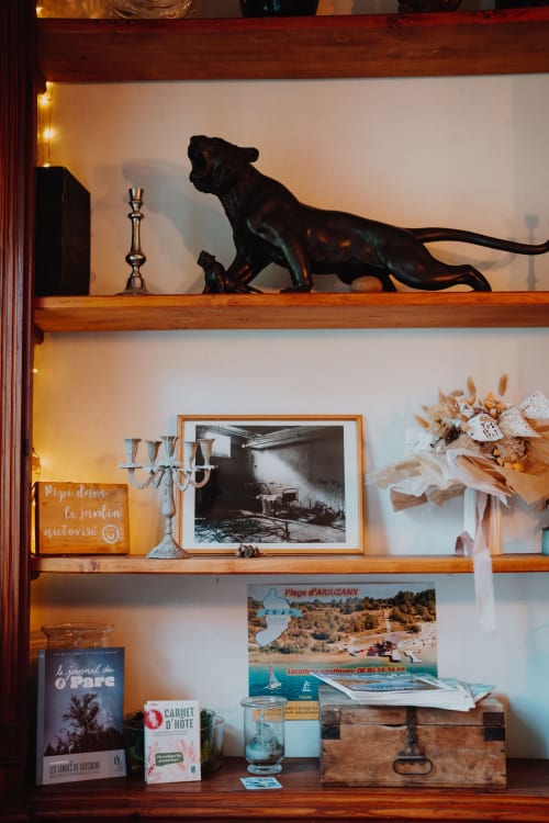Wooden shelves at Baccara Lodge displaying black panther sculpture, vintage books, framed photographs, and coastal decor from