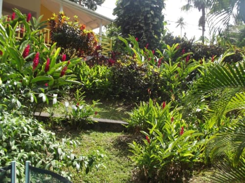Le jardin tropical de la résidence de vacances des jardins de l'espérance où l'on voit les mutliples Alpinia rouge et palmiers du jardin
