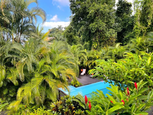 Belle vue depuis le gîte BleuLagon aux Jardins de l'espérance à Bouillante, sur la piscine sécurisée et ses transats, pour un séjour au calme pour les couples, les amis, les familles