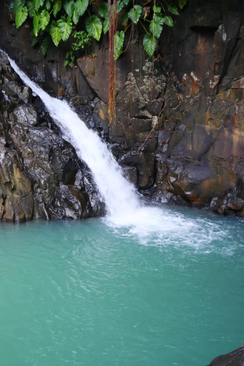 Le saut d'Acomat à Pointe Noire, à 10mn de la résidence de vacances Les Jardins de Pointe Noire. Une belle découverte nature à proximité.