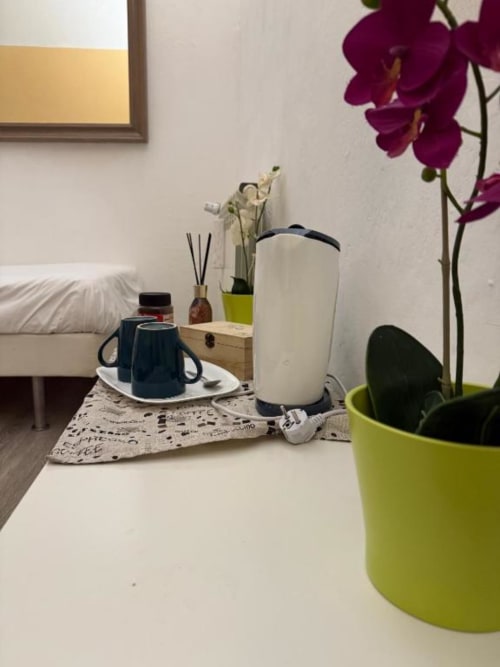 Camera elegante al Bronze Horse Affittacamere con comodino decorato, orchidee, umidificatore e quadri incorniciati