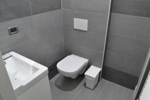 Moderno bagno del Bronze Horse Affittacamere Firenze con piastrelle grigie, water bianco, vasca da bagno e pulsante doppio scarico