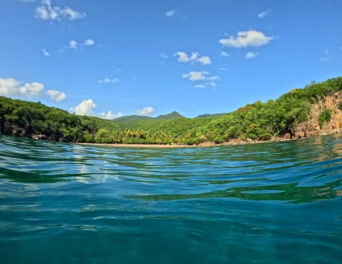 Les eaux chaudes des Antilles, à 28°C, à découvrir pendant votre escapade aux Jardins de Pointe Noire en Guadeloupe