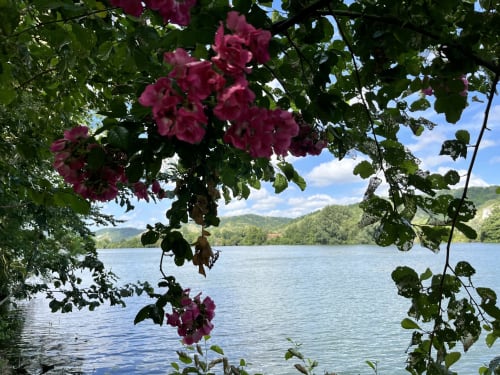 Clairseine, countryside, Normandy, Impressionism, waterside, banks of the Seine, the Seine, calm, silence, garden, 100 km from Paris, Giverny, Rouen, Val de Reuil, Louviers, Eure, Les Andelys, Claude Monet, Impressionists, eco-friendly, privacy, romantic getaway, couples' getaway, rejuvenation, Le Vaudreuil, Tournedos-sur-Seine, Porte de Seine, Nature, France, Design, vintage, decoration, comfort, high-end, luxury, pleasure, terrace, park, private, decoration, high-end, beautiful amenities, view of the Seine, fishing, hiking, rest, rejuvenation, pontoon, boat, all seasons, spring, summer, autumn, winter, flavours, LGBTQ +, dogs accepted, cottage, charming cottage, guest house