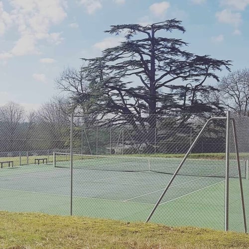 At the gates of Saintes in Charente-Maritime, enjoy the quick tennis court of La Loge du Grand Cèdre while admiring its magnificent secular tree. On site, a luxury cottage **** and a charming guest room.