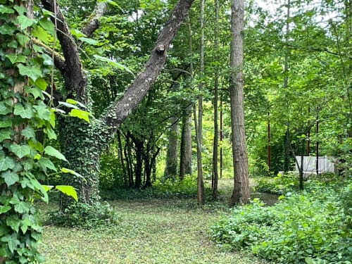 Clairseine, countryside, Normandy, Impressionism, waterside, banks of the Seine, the Seine, calm, silence, garden, 100 km from Paris, Giverny, Rouen, Val de Reuil, Louviers, Eure, Les Andelys, Claude Monet, Impressionists, eco-friendly, privacy, romantic getaway, couples' getaway, rejuvenation, Le Vaudreuil, Tournedos-sur-Seine, Porte de Seine, Nature, France, Design, vintage, decoration, comfort, high-end, luxury, pleasure, terrace, park, private, decoration, high-end, beautiful amenities, view of the Seine, fishing, hiking, rest, rejuvenation, pontoon, boat, all seasons, spring, summer, autumn, winter, flavours, LGBTQ +, dogs accepted, cottage, charming cottage, guest house