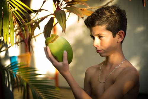 vous serez proches de la nature aux jardins de Pointe Noire, à 300 mètres de la mer, pendant vos vacances en Guadeloupe