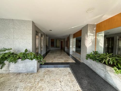 Moderno pasillo del apartamento en Holibai Baiona con piso de piedra clara, plantas en macetas y acceso a habitaciones con estacionamiento cubierto
