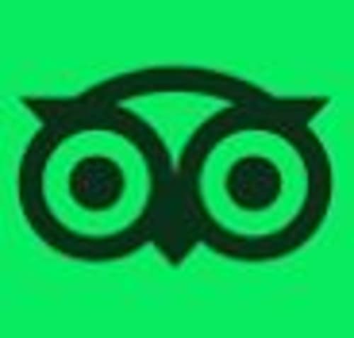 Avis Tripadvisor sur le chateau de Bellevue puy du fou