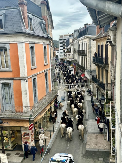 Procesja uliczna w Lourdes z konną strażą i tłumami koło hotelu Ombre de la Tour w centrum miasta Lourdes we Francji