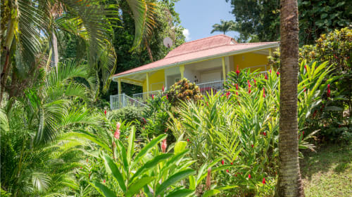 parc paysager des Jardins de l'espérance à Bouillante avec ses nombreuses fleurs tropicales