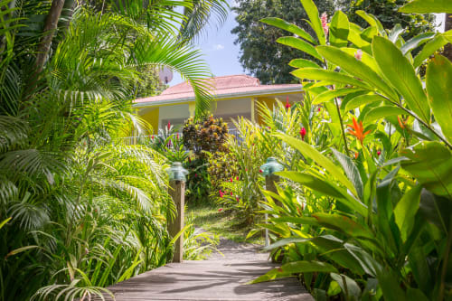 Vue sur le ponton en bois du gîte VertMadras, tout proche de la piscine, entouré de la végétation incroyable des Jardins de l'espérance à Malendure/Bouillante, en Guadeloupe