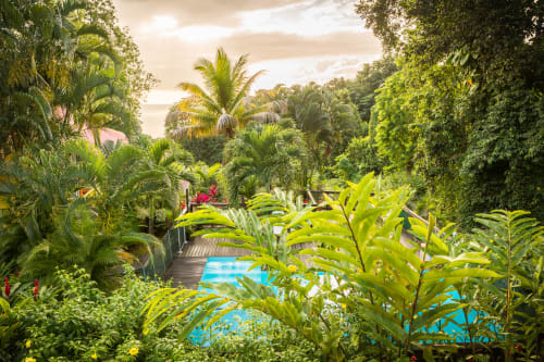Jolie vue de la piscine de la résidence de vacances les jardins de l'espérance, à Bouillante/Malendure en Guadeloupe, pour un séjour dépaysant et reposant