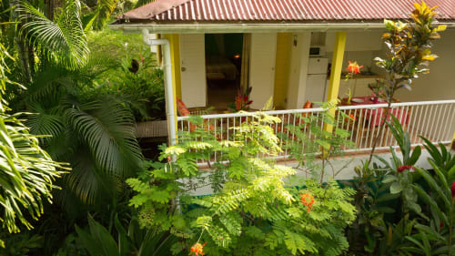 Vue sur la terrasse du gîte VertMadras, entourée de végétation fleurie, c'est la garantie d'un séjour reposant aux jardins de l'espérance à bouillante en Guadeloupe