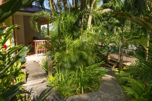 de très nombreuses variétés de plantes et de fleurs sont présentent dans le parc paysager des jardins de l'espérance à Bouillante en Guadeloupe