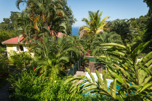 Le parc paysager des jardins de l'espérance à Bouillante, en Guadeloupe, gîtes référencés dans le guide du routard depuis 2009 avec une variété incroyable de plantes et une jolie vue mer