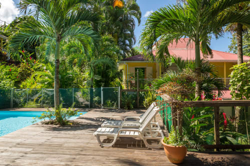 nombreux palmiers autour de la piscine sécurisée des jardins de l'espérance à Bouillante en Guadeloupe pour un séjour dépaysant et reposant