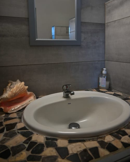 lavabo, miroir, et jolie décoration avec un coquillage de lambi, typique de Guadeloupe, aux jardins de l'espérance à Bouillante en Guadeloupe, référencé 2 étoiles 