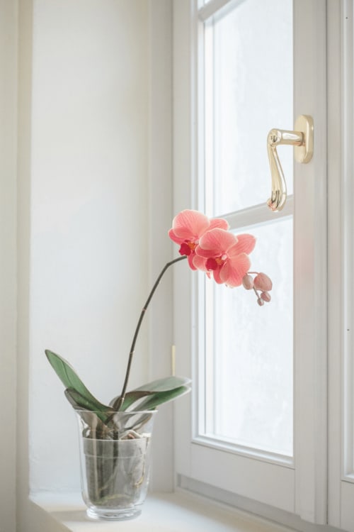 Pink orchid in glass vase on windowsill at Alessia's Place Como bed and breakfast