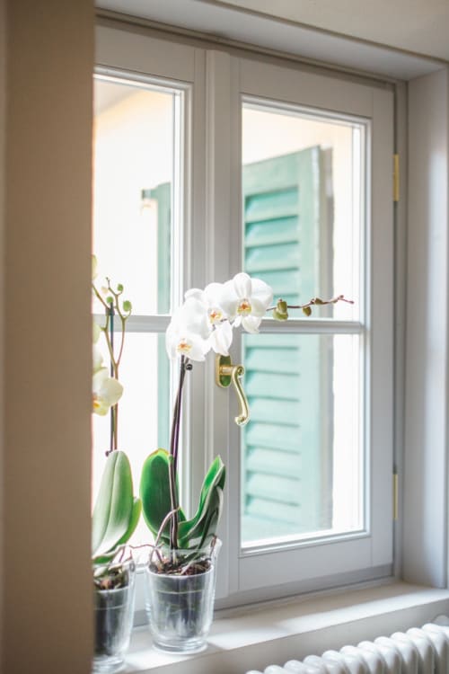 White orchids in glass vases on Suite 2 windowsill at Alessia's Place, Como, Italy, overlooking shuttered exterior