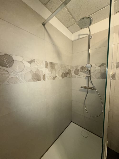 Douche moderne avec frise de carrelage feuillage décoratif et pommeau de douche pluie aux Gîtes Des Planchettes