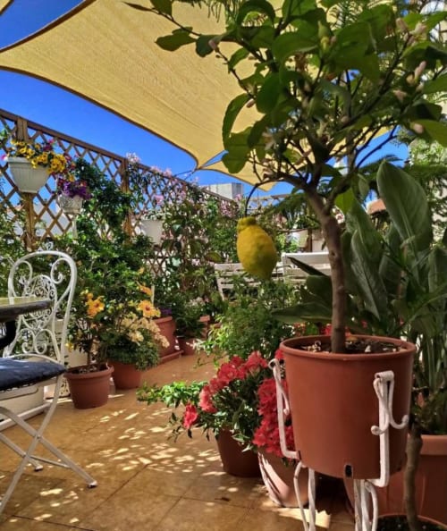 Terrazza soleggiata dell'Alghero Roof Garden B&B con fiori in vaso, limone, arredi bianchi e vela ombreggiante gialla