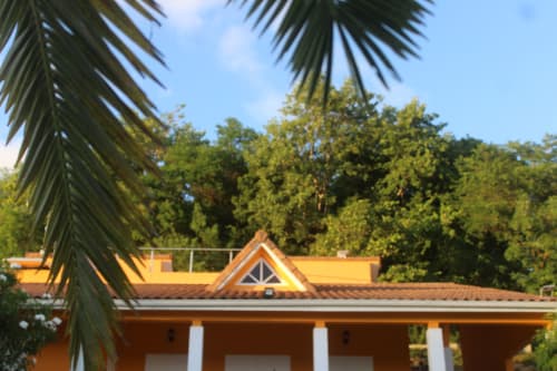 Grande villa familiale à la façade jaune ocre et toit de tuiles, entourée de palmiers - Villa Caryota Le Marin.