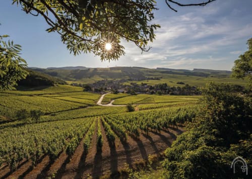 Beauté des paysages en Saône-et-Loire - Clos Ceres
