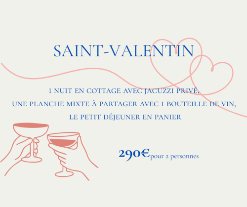 Offre Saint -Valentin, nuit et repas