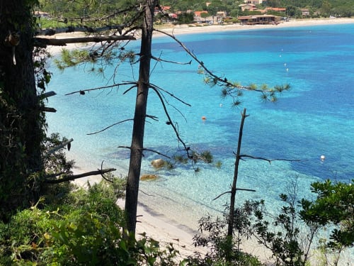 Turquoise Mediterranean sea view from Stella villa in Favone, Corsica with beach and coastal vegetation, managed by Corsu di Core conciergerie