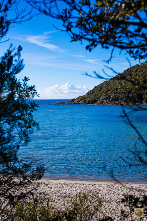 Plage méditerranéenne turquoise avec sable fin, versant boisé et ciel bleu cristallin près de Favone, Corse