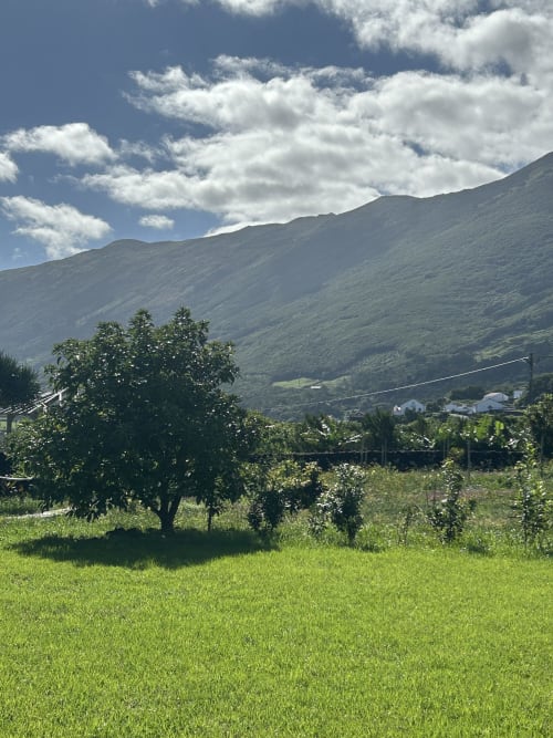 Pico Island, Azores, Cá Por Casa Pico, São Roque do Pico, Accommodation, Hotel