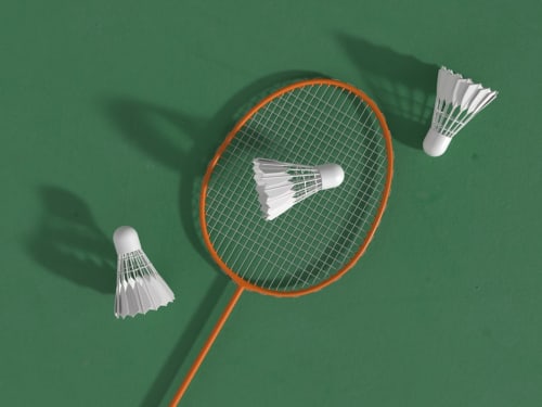 Raquette de badminton avec volants blancs sur surface verte au glamping Home Sweet Lodge Aquitaine