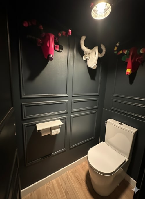 Salle de bain moderne à l'Alombre BnB à Lectoure : toilettes blanches, murs aux panneaux sombres et cornes décoratives.