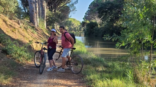 Ballades a vélo pittoresque le long du canal du midi, bordé d'arbres (pins parasol, platanes), pont canal et au bout du chemin "Le Somail"près du N°9 à Argeliers, France