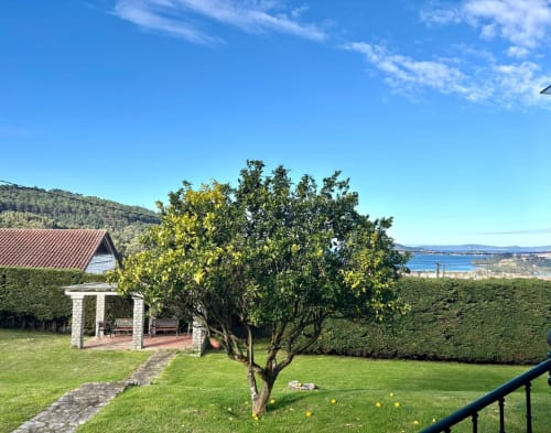 Jardín de cabaña en Baiona con árbol maduro, glorieta, vistas al mar y césped verde exuberante con vista a la costa