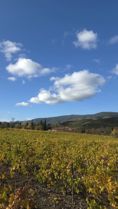 hotel mas le chatelet en occitanie proche de perpignan, rivesaltes, entre mer et vignes