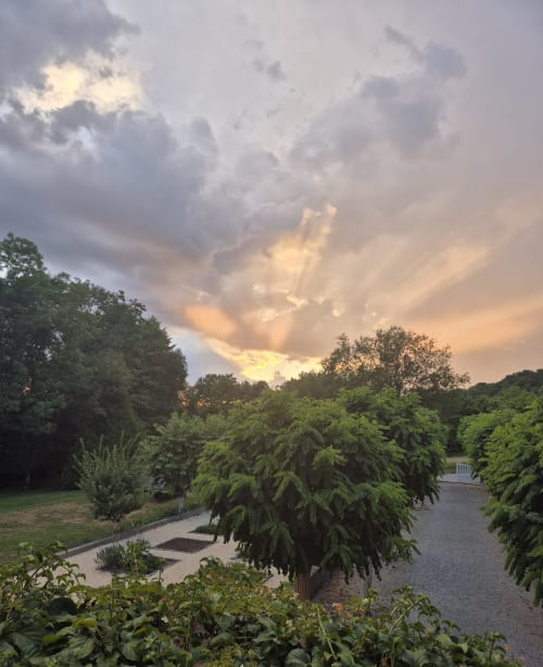 Zonsondergang over de tuin van Moulin Renaudiots in Autun, Frankrijk met treurilgen en waterpartij